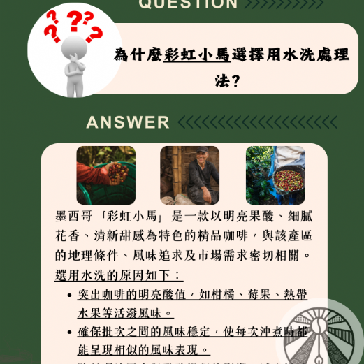 墨西哥 彩虹小馬